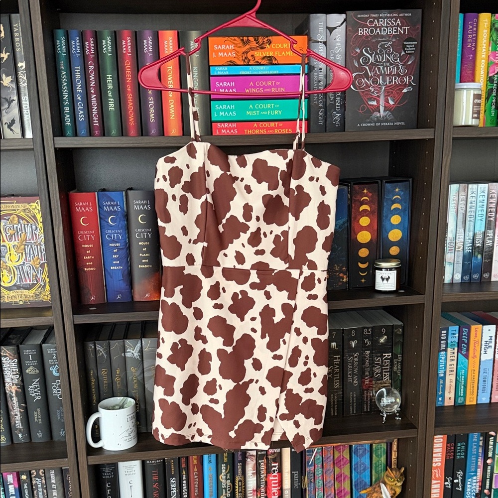 Altar'd State Brown and Cream Mini Dress